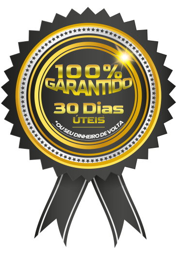 SELO DE GARANTIA copiar